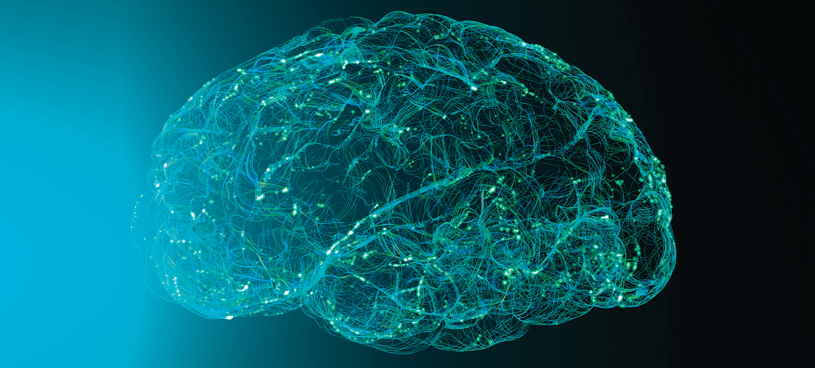 a brain a brain