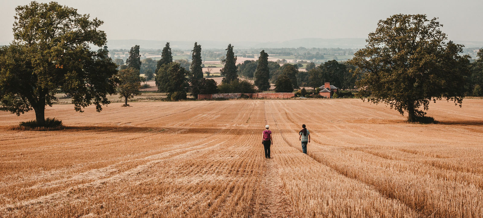 Two people walking in a golden wheat field which is surrounded by trees and fields in the distance.
