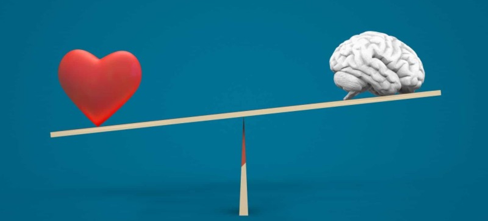 A see-saw weighing heart against head. A see-saw weighing heart against head.