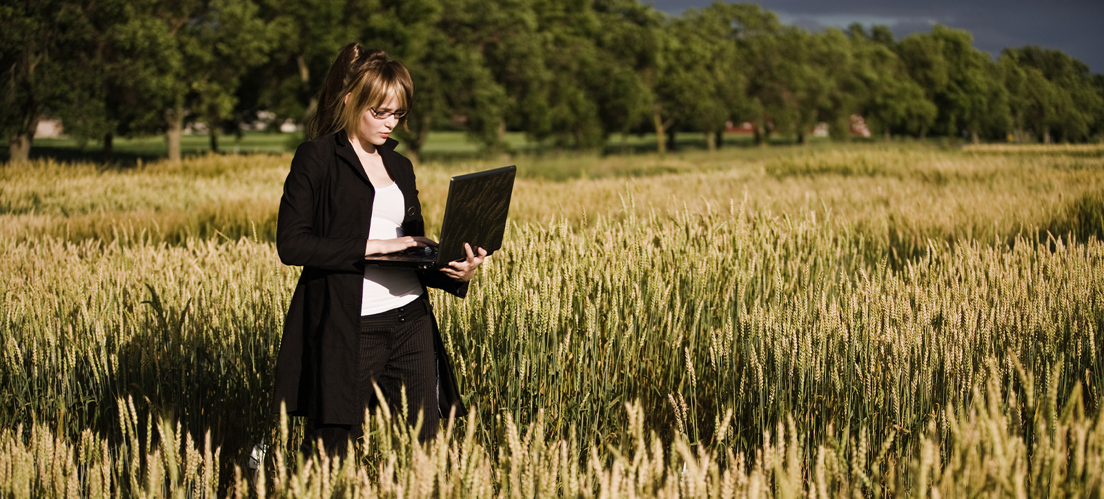 A businesswoman in smart attire walks through a rural field of crops, with trees in the background, as she stares at the screen of the laptop she is carrying.